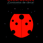 Escarabajos