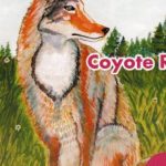 COYOTE REAL