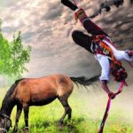 ASOMBRO DE LA SOMBRA