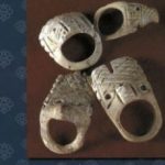 Conchas y caracoles Ese universo maravilloso