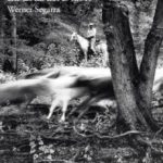 Vaqueros de La Cruz del Diablo